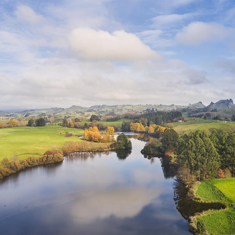 Picturesque Pristine Waikato River Landscape