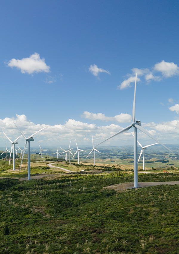 Mercury Turitea Wind Farm