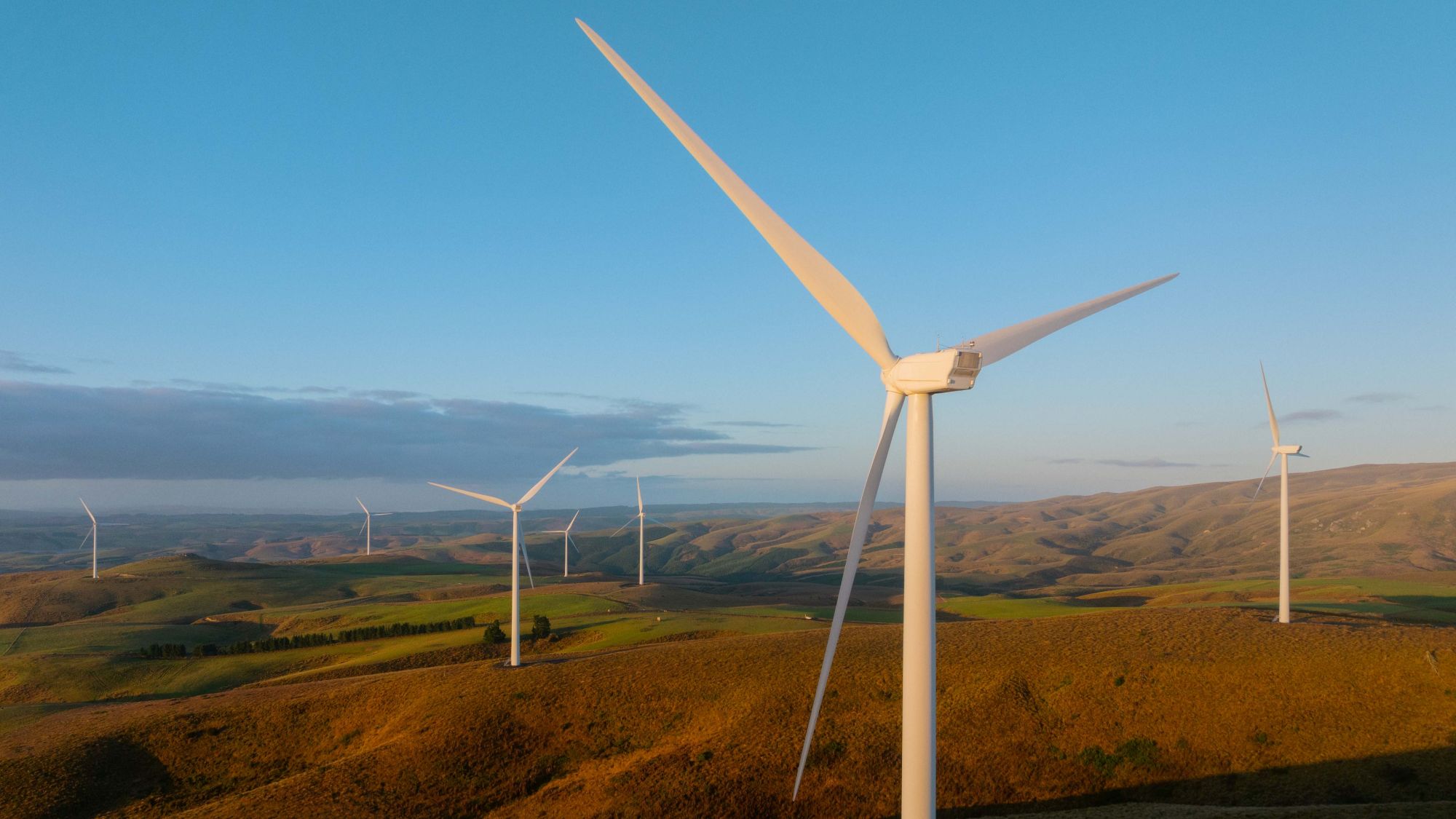 Wind turbines at Mahinerangi Wind Farm