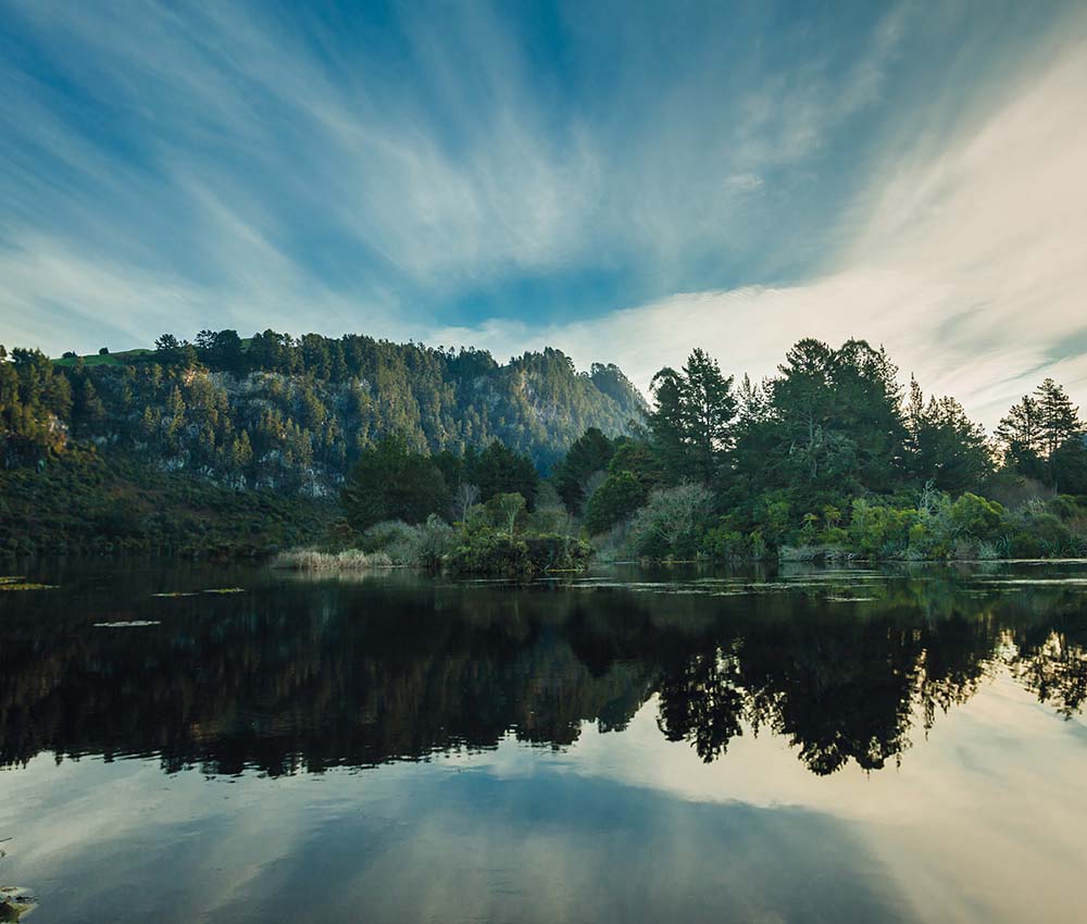 The Waikato river bank, with the surrounding trees and sky reflecting onto the water, 