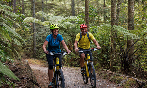 Two people e.biking in the woods