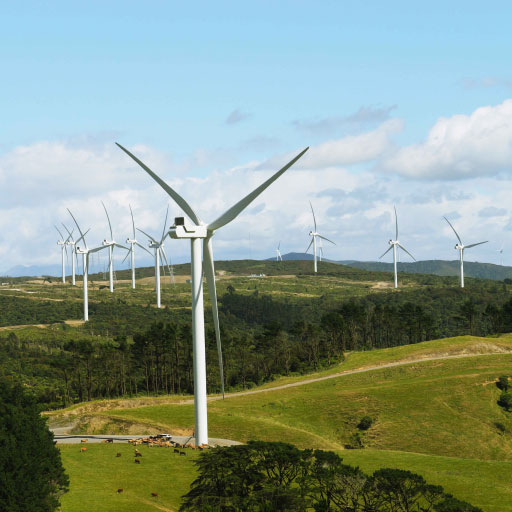 Turitea Wind Farm